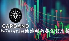 转入Tokenim地址时的备注信息解析