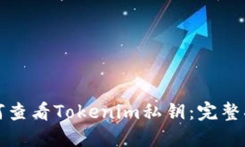 如何查看Tokenim私钥：完整指南