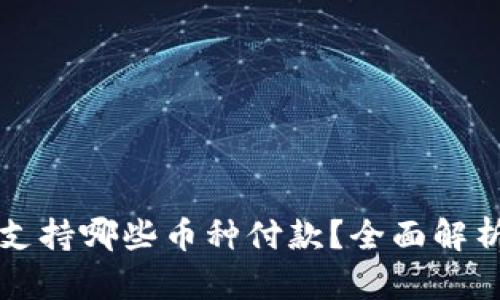 比特派钱包支持哪些币种付款？全面解析与使用指南