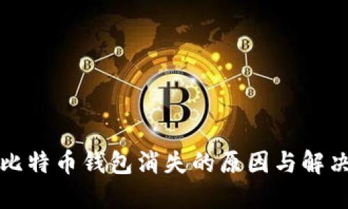 揭示比特币钱包消失的原因与解决方案