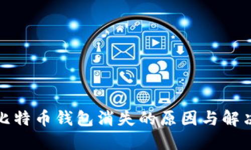 揭示比特币钱包消失的原因与解决方案