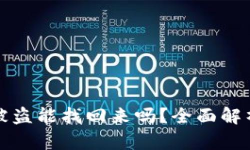 比特币钱包被盗能找回来吗？全面解析与解决方案