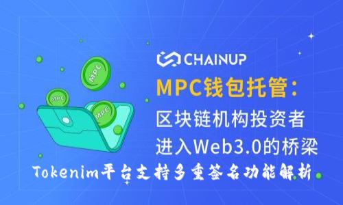 Tokenim平台支持多重签名功能解析