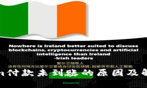 Tokenim付款未到账的原因及解决方案