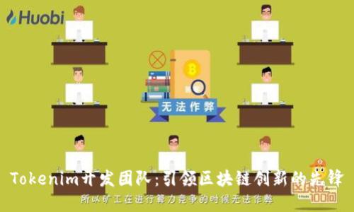 Tokenim开发团队：引领区块链创新的先锋
