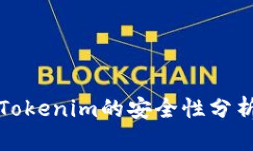 老版本Tokenim的安全性分析与评估