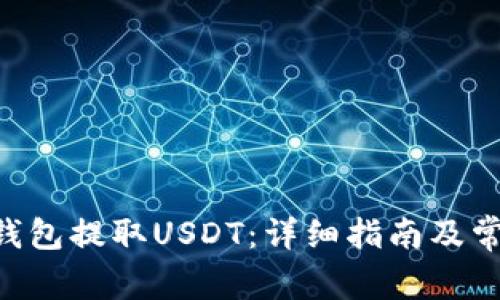 如何从OKT钱包提取USDT：详细指南及常见问题解析