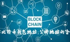 深入了解比特币钱包地址：公开地址的含义与使