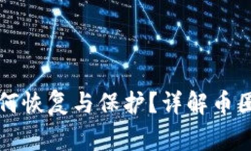 比特币钱包丢失后如何恢复与保护？详解币圈常见问题与解决方案