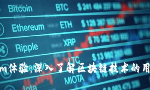 Tokenim体验：深入了解区块链技术的用户体验