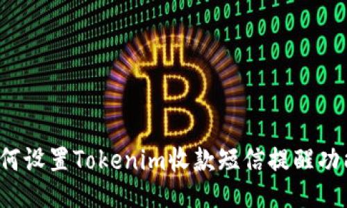 如何设置Tokenim收款短信提醒功能？