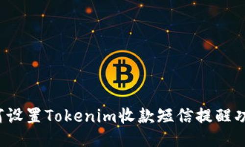 如何设置Tokenim收款短信提醒功能？