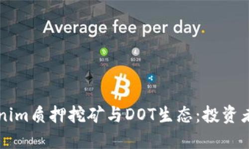 深入了解Tokenim质押挖矿与DOT生态：投资者的全方位指南