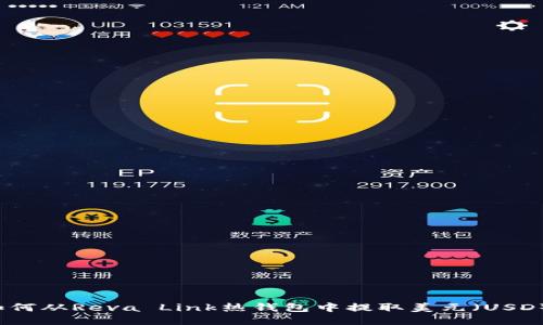 如何从Reva Link热钱包中提取美元（USD）？