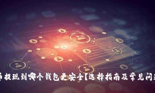 比特币提现到哪个钱包更安全？选择指南及常见问题解答