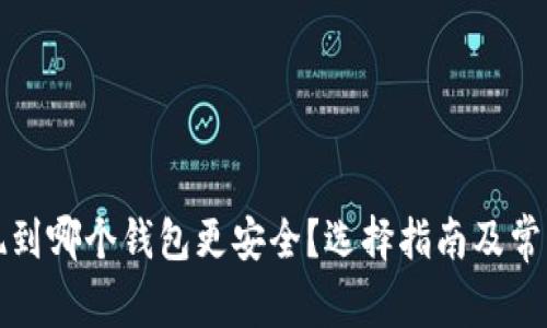 比特币提现到哪个钱包更安全？选择指南及常见问题解答