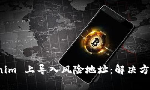 如何在 Tokenim 上导入风险地址：解决方案及注意事项