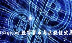 南京的Tokenim：数字货币与区块链发展新机遇