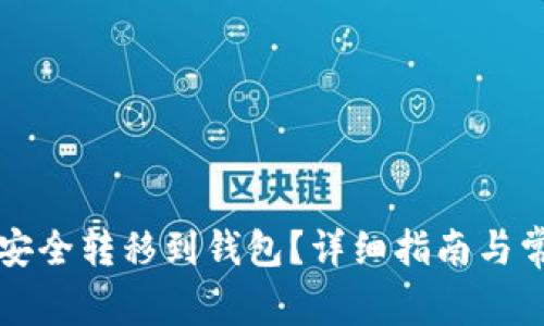 如何将屎币安全转移到钱包？详细指南与常见问题解析