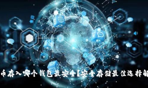 屎币存入哪个钱包最安全？安全存储最佳选择解析