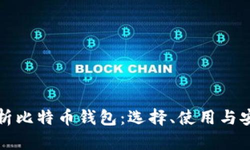 全面解析比特币钱包：选择、使用与安全指南