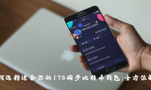 如何选择适合你的1TB同步比特币钱包：全方位解析