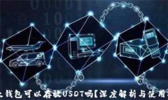 比太钱包可以存放USDT吗？深度解析与使用指南