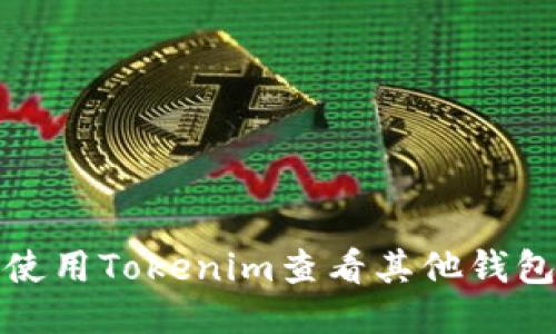 如何使用Tokenim查看其他钱包信息