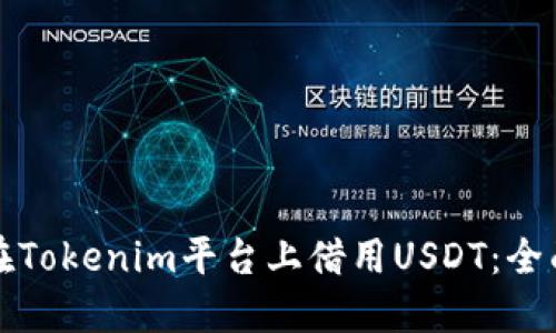 如何在Tokenim平台上借用USDT：全面指南