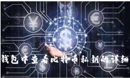 如何在imToken钱包中查看比特币私钥的详细步骤与注意事项