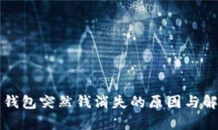 泰达币钱包突然钱消失的原因与解决方法