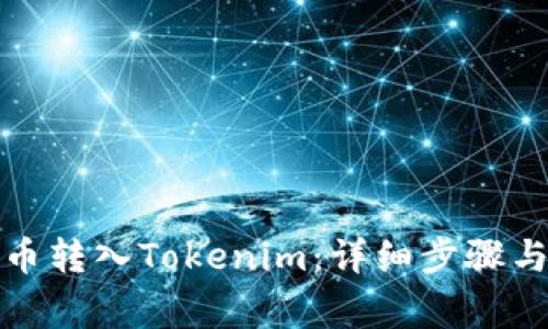 如何将狗币转入Tokenim：详细步骤与注意事项