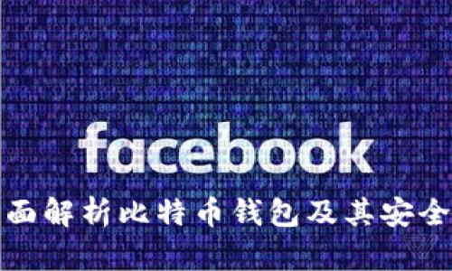 全面解析比特币钱包及其安全性