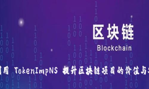 如何利用 TokenImpNS 提升区块链项目的价值与安全性
