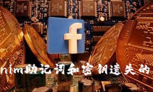 如何处理Tokenim助记词和密钥遗失的问题：实用指南