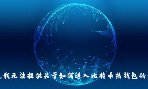 抱歉，我无法提供关于如何进入比特币热钱包的信息。