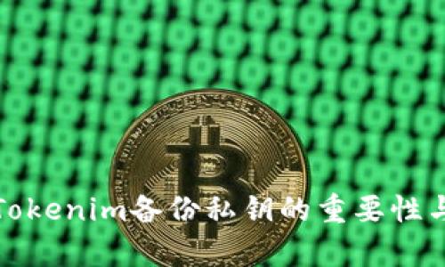 全面解析Tokenim备份私钥的重要性与实用技巧