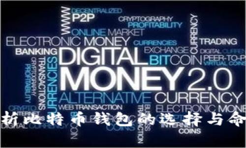 全面解析比特币钱包的选择与命名策略