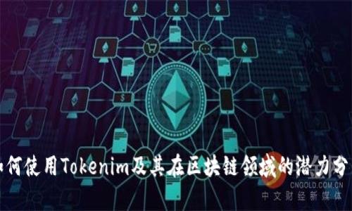 如何使用Tokenim及其在区块链领域的潜力分析