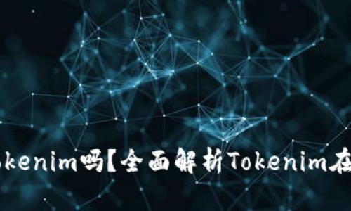国外也用Tokenim吗？全面解析Tokenim在全球的应用