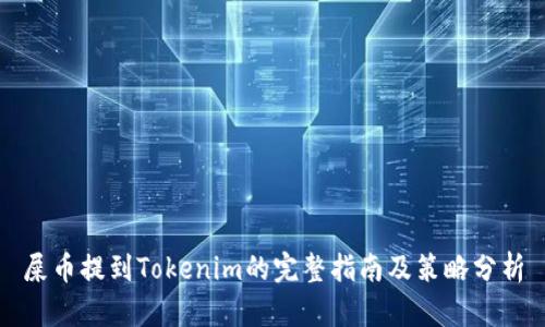 屎币提到Tokenim的完整指南及策略分析