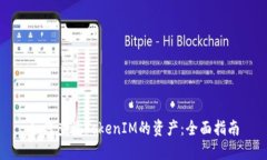 如何查询TokenIM的资产：全面指南