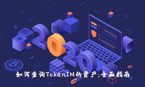 如何查询TokenIM的资产：全面指南
