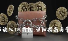 如何将SOL币放入IM钱包：详细指南与常见问题解答