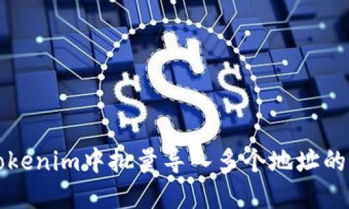 如何在Tokenim中批量导入多个地址的详细指南