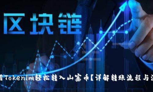 如何使用Tokenim轻松转入山寨币？详解转账流程与注意事项