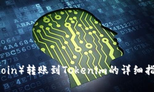 狗狗币（Dogecoin）转账到Tokenim的详细指南与注意事项