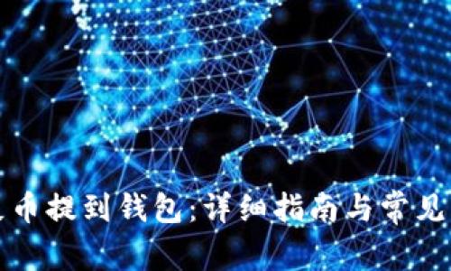 如何将屎币提到钱包：详细指南与常见问题解析