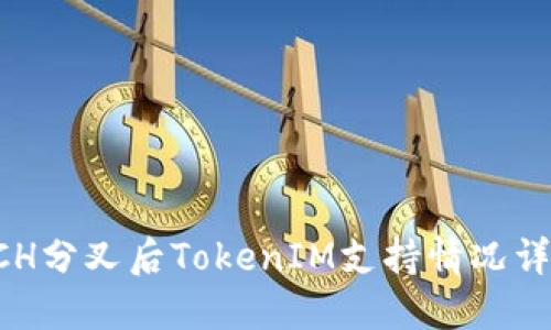 BCH分叉后TokenIM支持情况详解