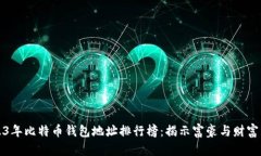 2023年比特币钱包地址排行榜：揭示富豪与财富分